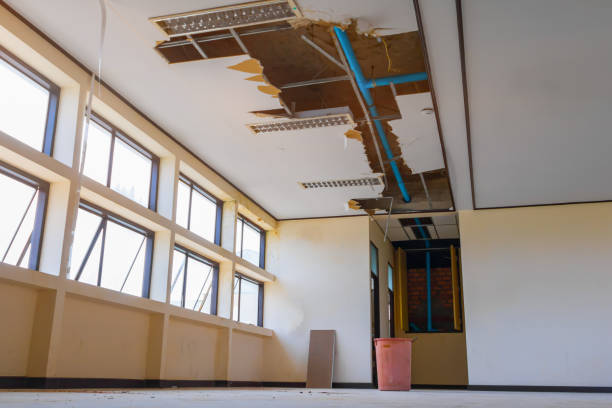 Best Sewage cleanup and water damage restoration  in Charleroi, PA