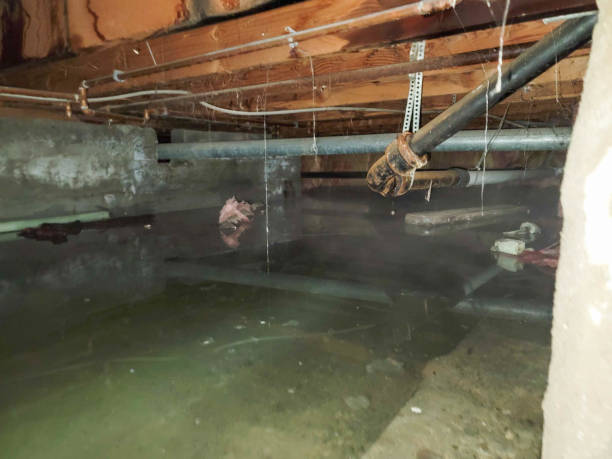 Best Commercial water damage restoration  in Charleroi, PA