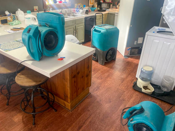 Best Water damage contractors near me  in Charleroi, PA