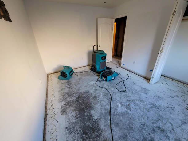  Charleroi, PA Water damage restoration Pros
