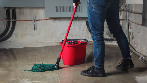 Best Carpet water damage restoration  in Charleroi, PA