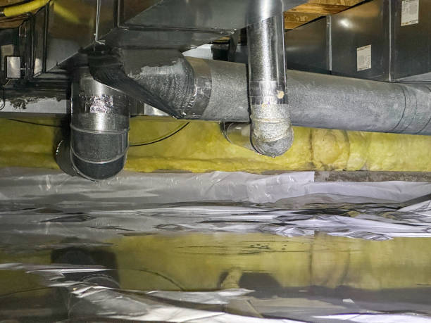 Best Water damage restoration mold remediation  in Charleroi, PA