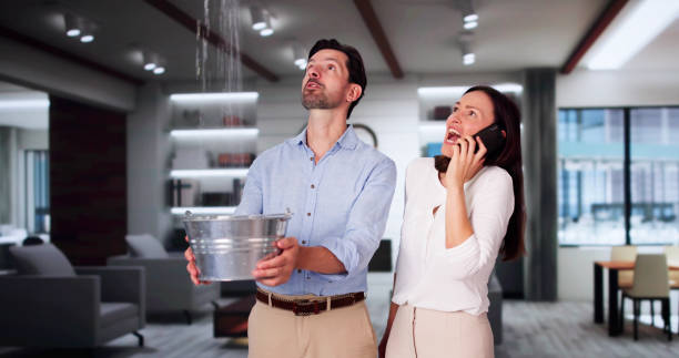 Best Water damage restoration near me  in Charleroi, PA